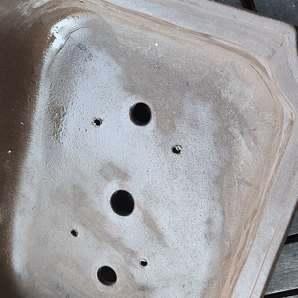 Large Bonsai Pot planter - Picture 5 of 7